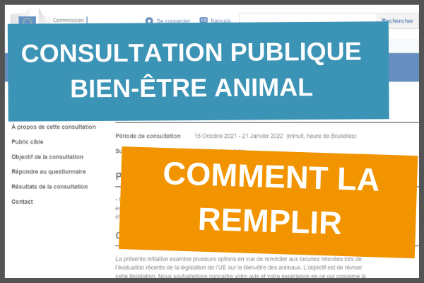 Participez à une consultation publique essentielle pour les animaux 